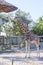 Giraffe in Captivity