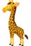 Giraffe cartoon