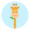 Giraffe chewing leaves. Cute funny cartoon vector illustration.
