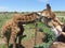 Giraffe. Close-Up. Heart Warming. Eating out of a bucket. Blue Sky. Scattered Clouds