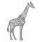 Giraffe coloring book for adults vector