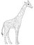 Giraffe coloring book for adults vector illustration