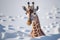 Giraffe in deep snow, only head and neck out of snow. Generative AI