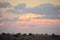 A giraffe is dwarfed by the vast landscape and skies, Kgalagadi Transfrontier National Park , South Africa