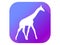 Giraffe flat icon with long shadow. Pictogram gradient color. Vector