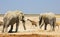 Giraffe framed by tw elephants in Etosha, with open desert background