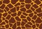 Giraffe fur skin seamless pattern, carpet Giraffe hairy print background, brown and yellow texture, look smooth, fluffly and soft.