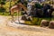 Giraffe getting a drink. Auckland Zoo Auckland New Zealand