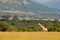 Giraffe, green vegetation with animal. Wildlife scene from nature, Pilanesberg NP, Africa. Green vegetation in Africa