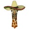 Giraffe head. Sombrero mexican hat. Portrait of wild animal.