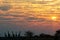 Giraffe herd standing in a sunrise landscape, etosha nationalpark, namibia