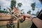 Giraffe and human hand in Fasano apulia safari zoo Italy