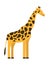 Giraffe icon, flat style