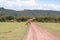 Giraffe in Lake Manyara nationalpark