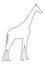 Giraffe line contour vector illustration isolated on white background. African animal.