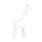 Giraffe line drawing, vector