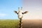 Giraffe looking at differences from drought ground and fertile soil on the field