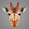 Giraffe low poly portrait