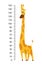 Giraffe meter wall or height chart vector illustration.