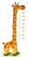 Giraffe meter wall or height chart or wall sticker