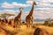 Giraffe mother and baby in grassland savanna day time, tallest animal in the world. Generative AI