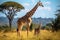 Giraffe mother and baby in grassland savanna day time, tallest animal in the world. Generative AI