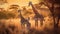 Giraffe mother and calves walking in the savannah during sunset. Generative AI.