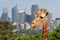 Giraffe over Sydney