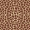 Giraffe pattern