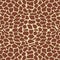 Giraffe pattern