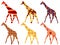 Giraffe pattern. Giraffe in ethnic style. Set of giraffes.