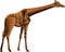 Giraffe polygon vector On a transparent background