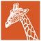 Giraffe portrait vector illustration