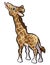 Giraffe Safari Animals Cartoon Character