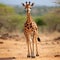 giraffe on sand generated by AI tool