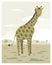 Giraffe in the savanna