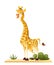 Giraffe savannah animal