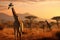 Giraffe in savannah at sunset, Namibia, Africa, giraffe walking in the savannah, AI Generated