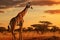 Giraffe in savannah at sunset, Tsavo East National Park, Kenya, giraffe walking in the savannah, AI Generated