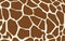 Giraffe seamless pattern