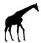 Giraffe silhouette.