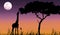 Giraffe silhouette in purple sunset