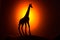 Giraffe Silhouette at Sunrise