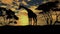 Giraffe sillouette on sunset background