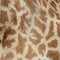 Giraffe skin