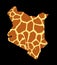 Giraffe skin print over Kenya map vector silhouette illustration isolated on black background