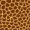 Giraffe spots background