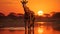 Giraffe standing in the sunset, tranquil beauty in nature generated by AI