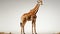 Giraffe standing in the wilderness, elegance in nature beauty generated by AI