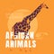 A giraffe stands on an orange background. African wildlife poster.